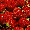 Strawberry_chandler