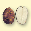Potato_purple_viking
