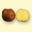 Potato_red_sangre