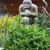Mint_monkey.small