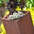 Rusted_metal_succulents_tall.small