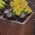 Rusted_metal_succulents_short.small