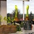 Amarylis_and_tomatoes.small