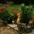 0746aa.small
