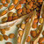 Bean_sonoran_gold_bush_tepary