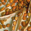 Bean_sonoran_gold_bush_tepary
