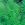 Ferns_athyrium_felix-femina-1.sprite