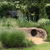 Worm_tunnel