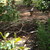 Large_bird_s_nest