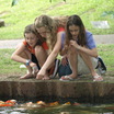 Koi_and_3_girls