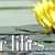 Waterliliesbanner520x144
