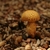4028aa.small