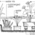 How-to-stock-a-water-garden