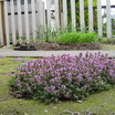 Dsc07033