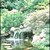 Pond-n-garden