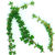 Thyme_thymus_pinewood-1.small