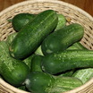 Cucs_7-27-10
