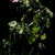 6398c.a.small