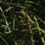 6369c.a.small