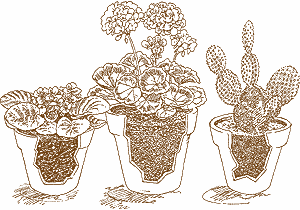 Potting_soil1.detail