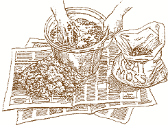Potting_soil2.detail