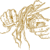 Clipping_onions.small