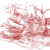 Reviving-amaryllis-bulbs.small