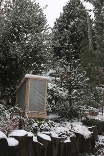 snow falls in november on the newly installed banana houses!