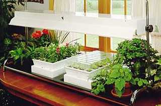 Growlights get the gardening season off to an early start!