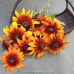 Rudbeckia3.thumb