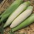 Corn-sugar2.small