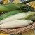 Corn-sugar4.small