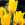 Tulips: Tulipa 'Makassar'