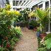 Garden Design