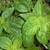 100_0257.small