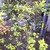 Iphone_pics_cliff_1738.small