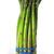 Asparagus.small