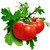 Tomatoes.small
