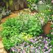 Salad_garden.thumb