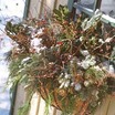2winter_arrangement.thumb