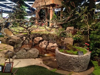 Giant Bonsai at the NW Flower & Garden Show 2012