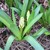 100_1102.small