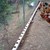 100_1106.small