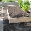 Vegetable Gardening