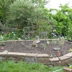 Vegetable Gardening