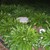 100_1162.small