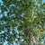 100_1178.small