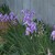 100_1176.small