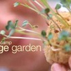Kid's Gardening Camp