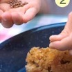 Seeds & Seed Starting